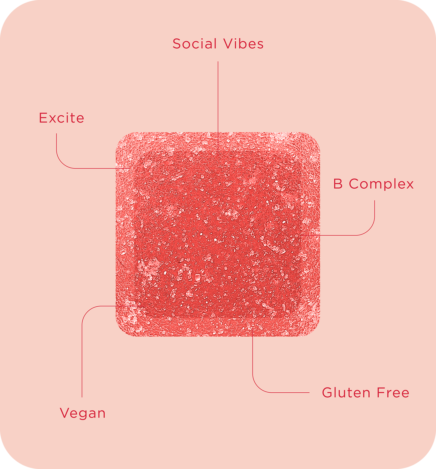 Buy 2 Get 2 - LEUNE Lab