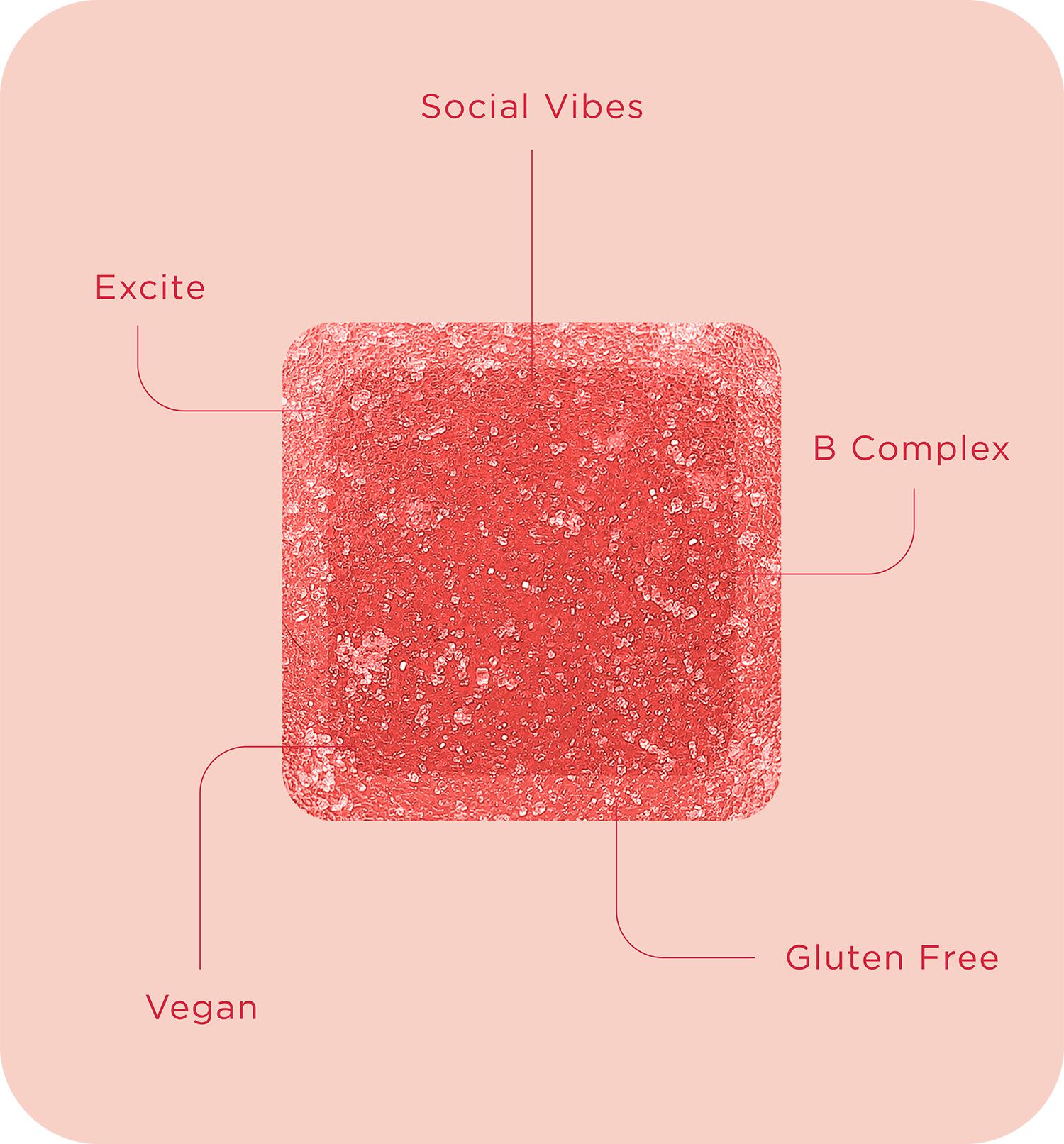 Buy 2 Get 2 - LEUNE Lab